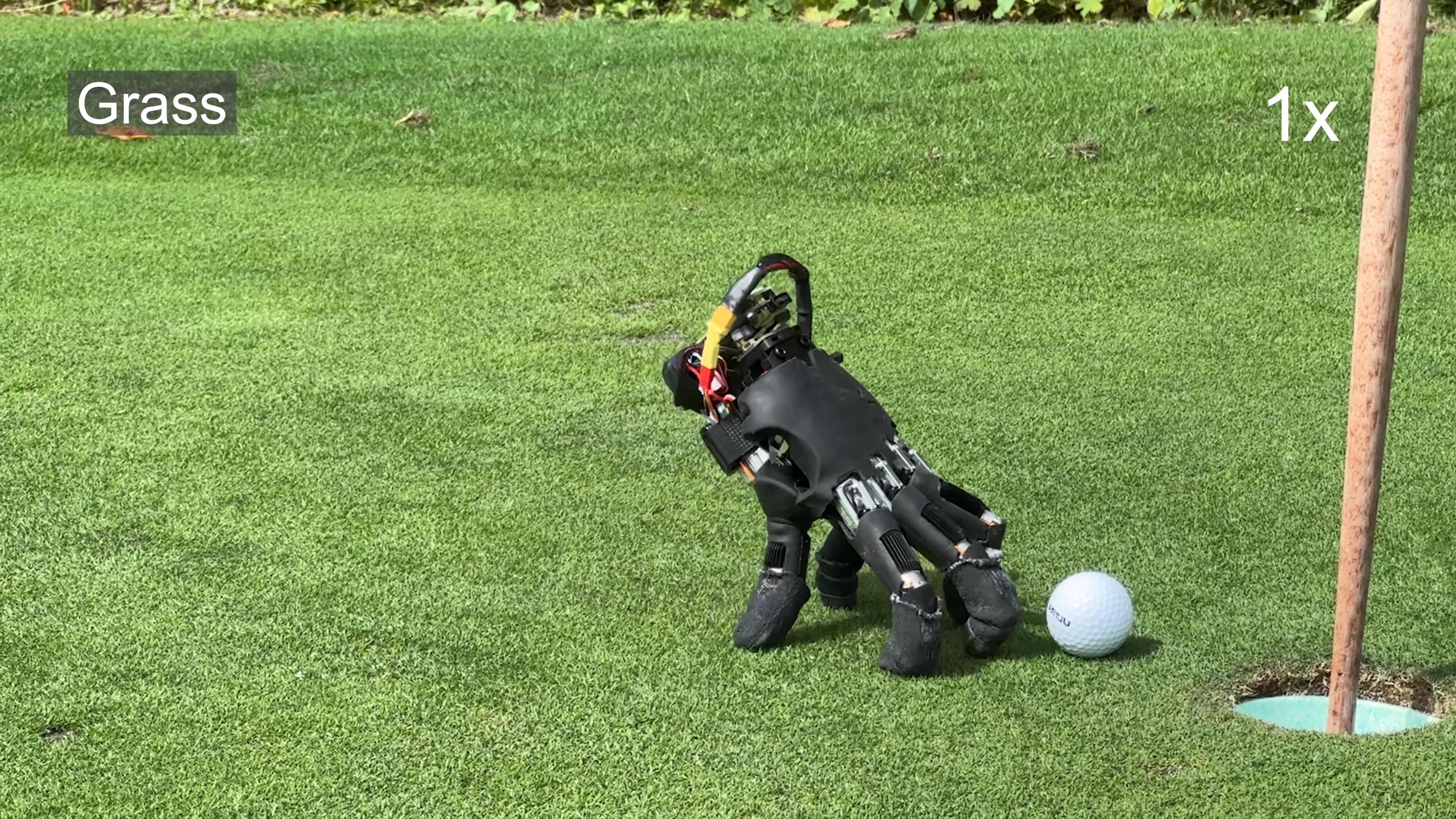 The robotic hand on grass beside a golf ball, supported by its fingers
