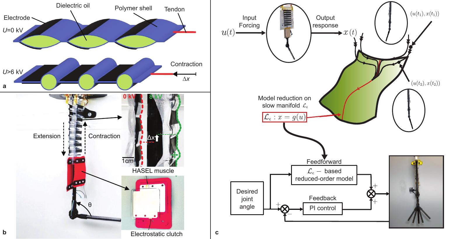 SSM-based data-driven control of antagonistic soft robotic muscles