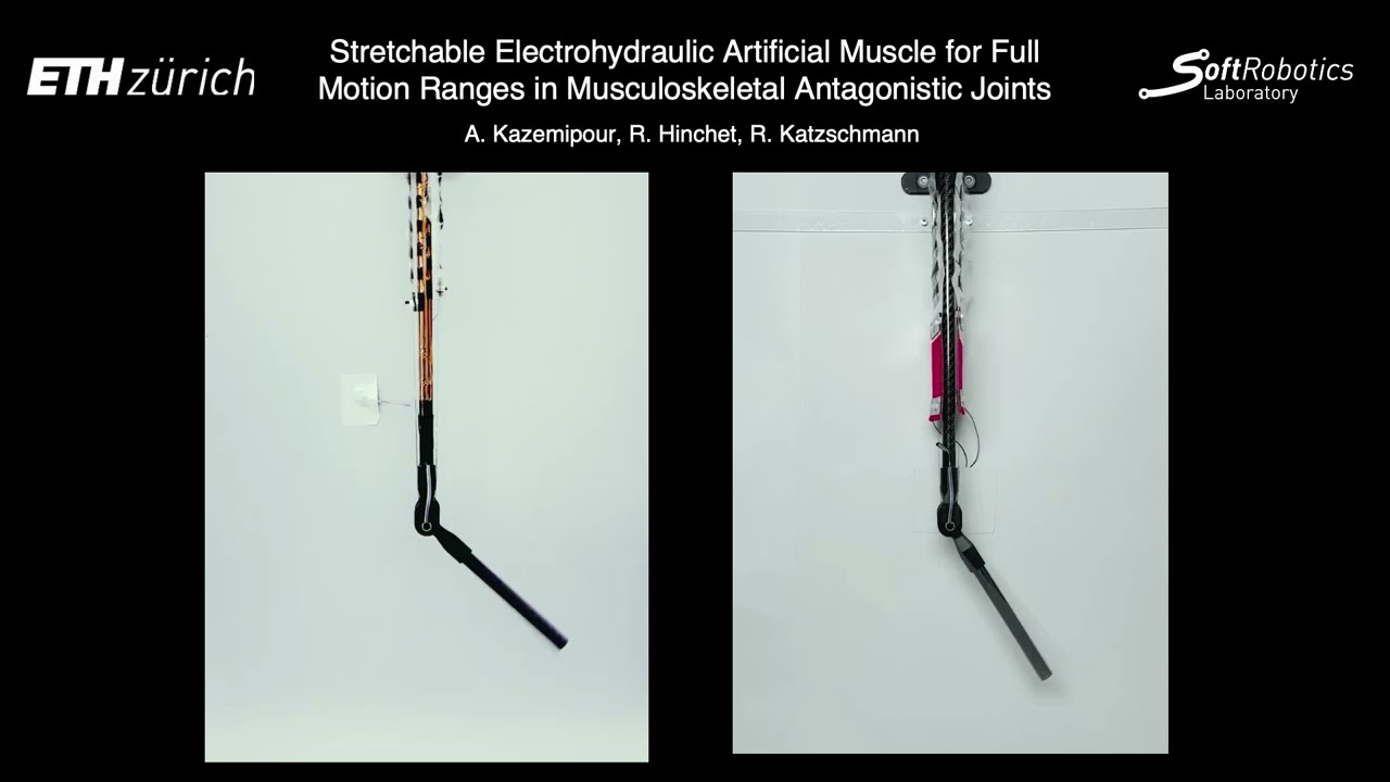 Stretchable electrohydraulic antagonistic joint demonstration