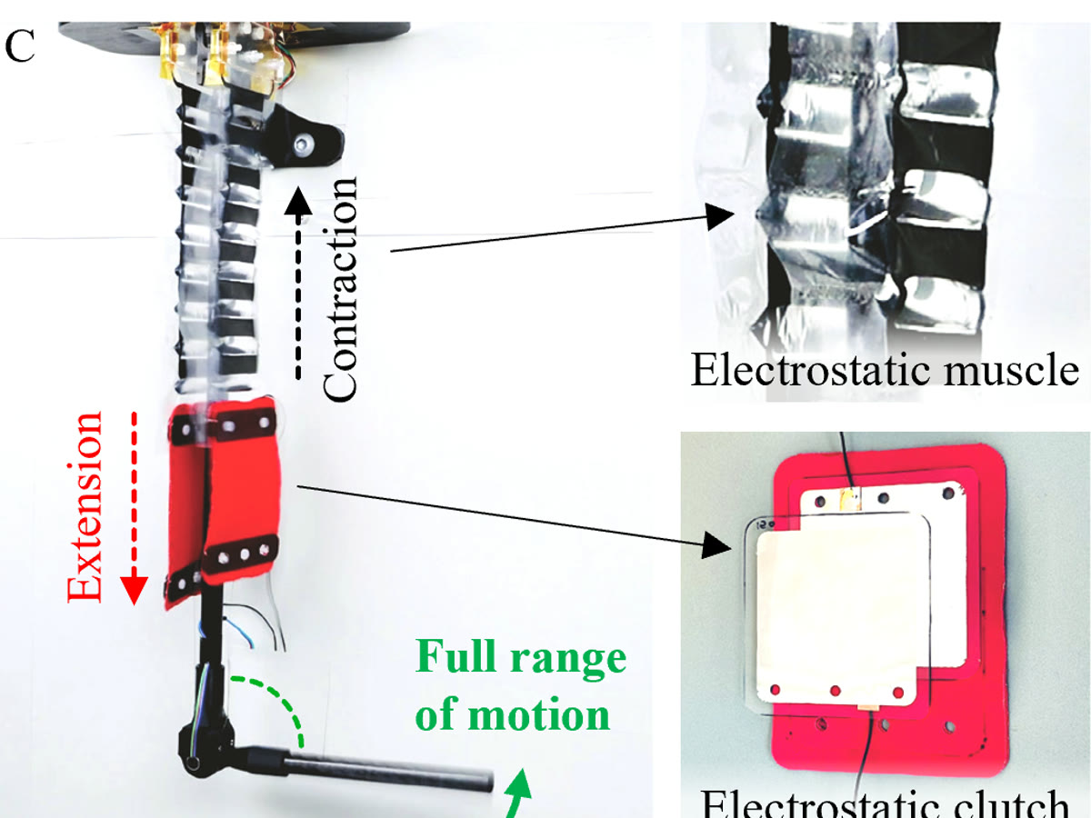 icra2025_stretchable_antagonistic_joint.jpg