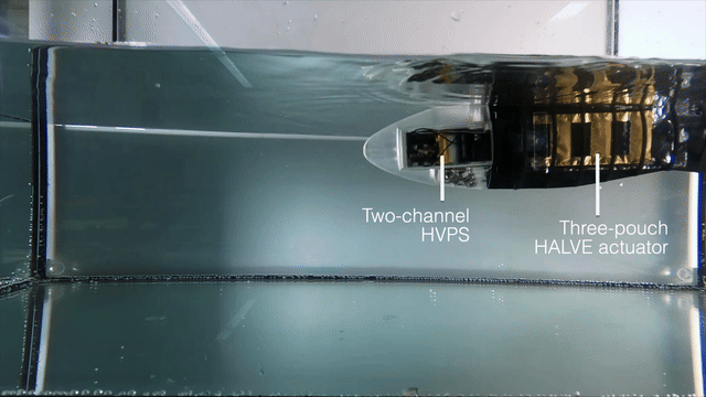 Untethered fish demonstrator powered by compact electrohydraulic driver electronics