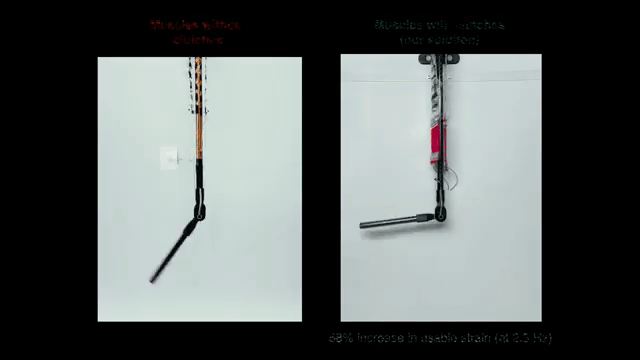 Stretchable electrohydraulic antagonistic joint demonstration
